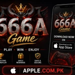 666A Game