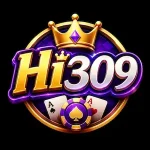 HI309 Game